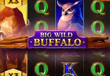 Автомат Big Wild Buffalo в казино СпинБеттер