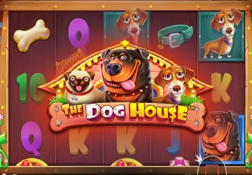 Слот The Dog House в казино СпинБеттер